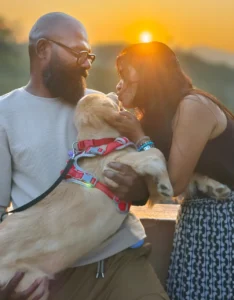 Golden Retriever Puppy Sky at age 3 months India