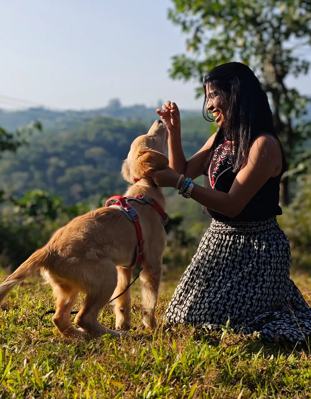 Golden Retriever Puppy Sky at age 3 months with his mom divya in India