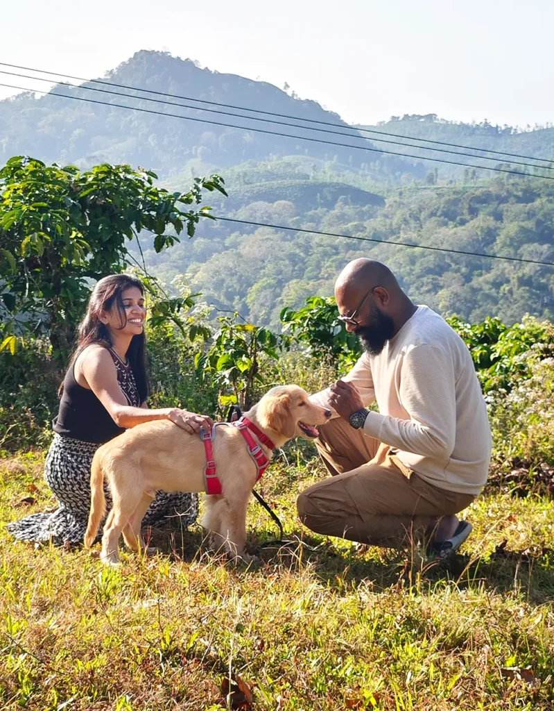 Golden Retriever Puppy Sky at age 3 months with his pet parents in India