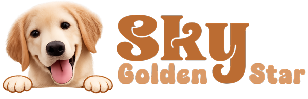 Sky The Golden Retriever
