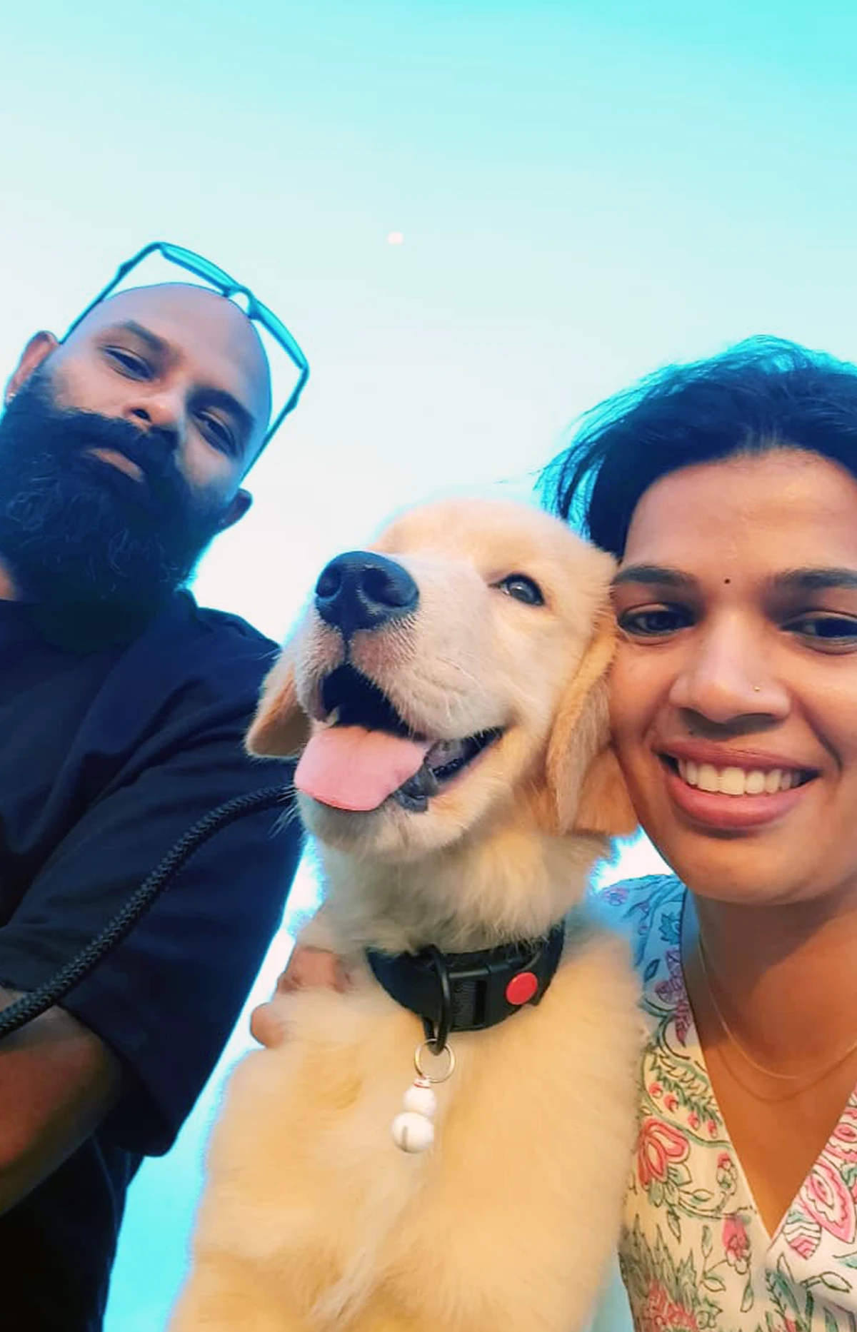 Sky the Golden Star 80 days old Golden Retriever Puppy India