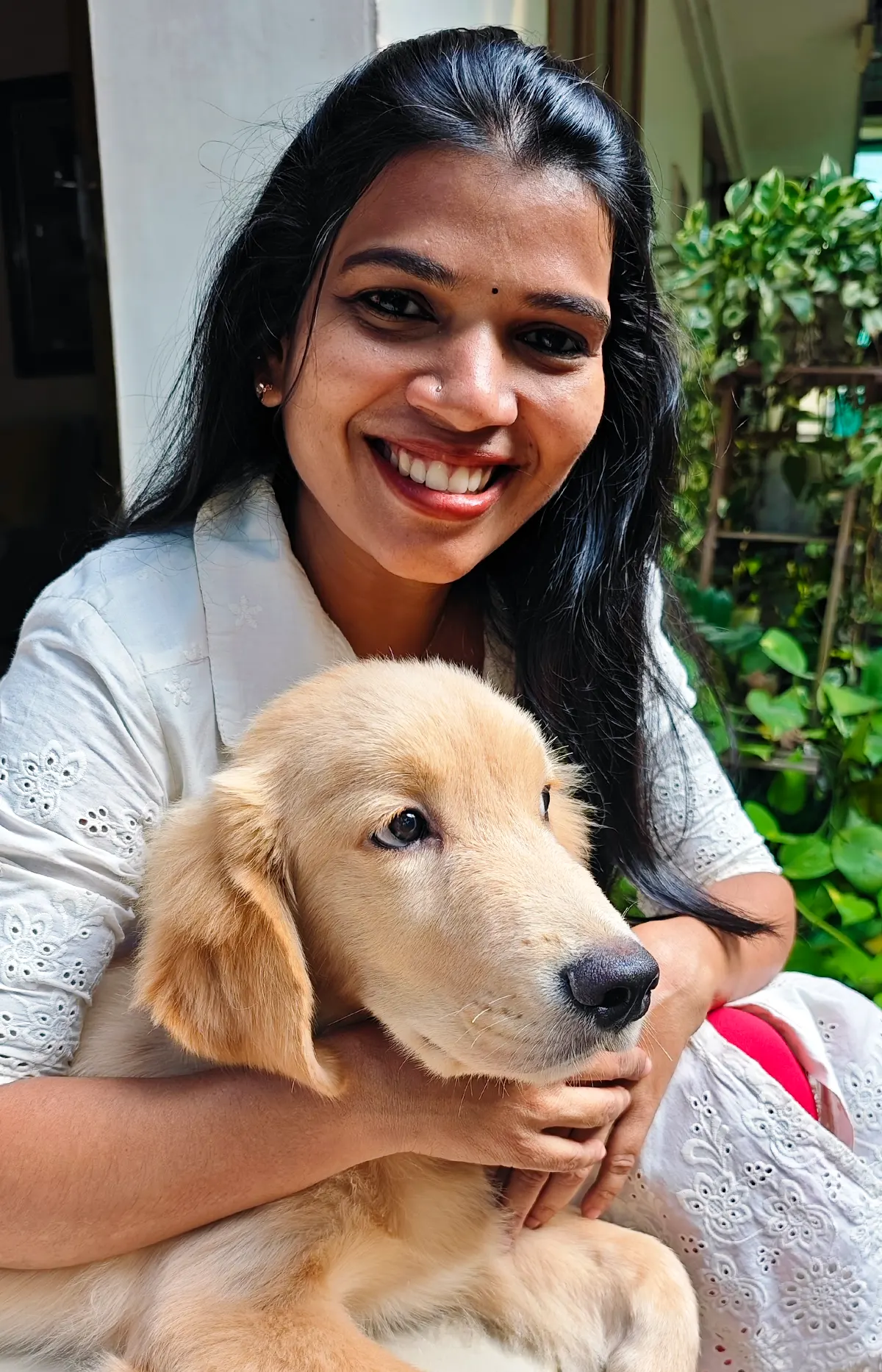 Sky the Golden Star 80 days old Golden Retriever Puppy Kerala in India