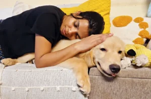 Skythe Golden Star 70 days old Golden Retriever Puppy India