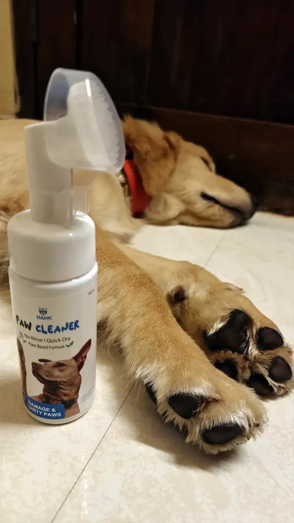 Golden Retriever Paws Cleaned using HANK No Rinse Foam Paw Cleaner