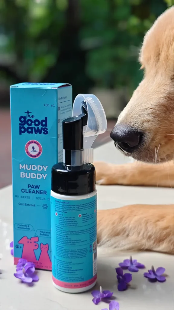 No Rinse Paw Cleanser for Golden Retriever by Muddy Buddy the best we use for our puppy